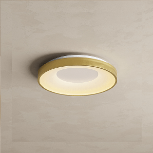 Flush Mount