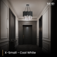X-Small,Cool White